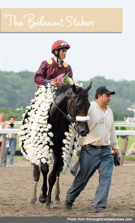 Winner of the Belmont Stakes is draped in a blanket of White Carnations | Belmont Stakes Party Invitations, Tips and Recipes from TheInvitationShop.com